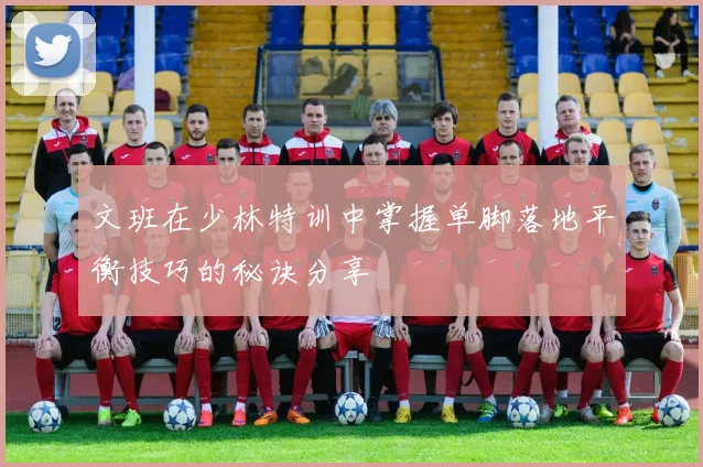 文班在少林特训中掌握单脚落地平衡技巧的秘诀分享