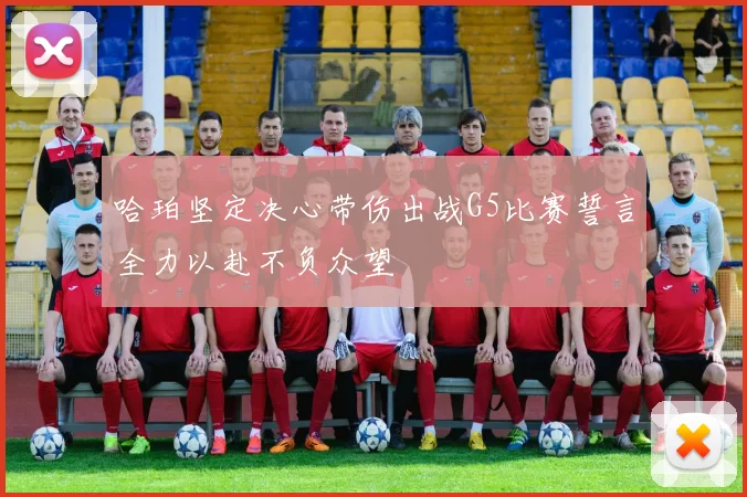 哈珀坚定决心带伤出战G5比赛誓言全力以赴不负众望