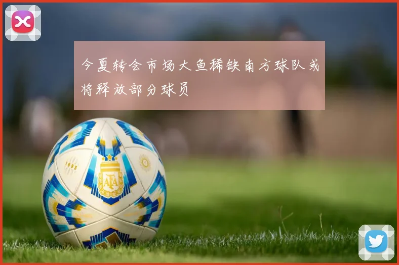 今夏转会市场大鱼稀缺南方球队或将释放部分球员